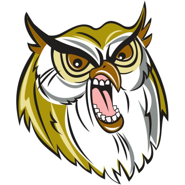 OWL HD0501 RQC Thumbnail